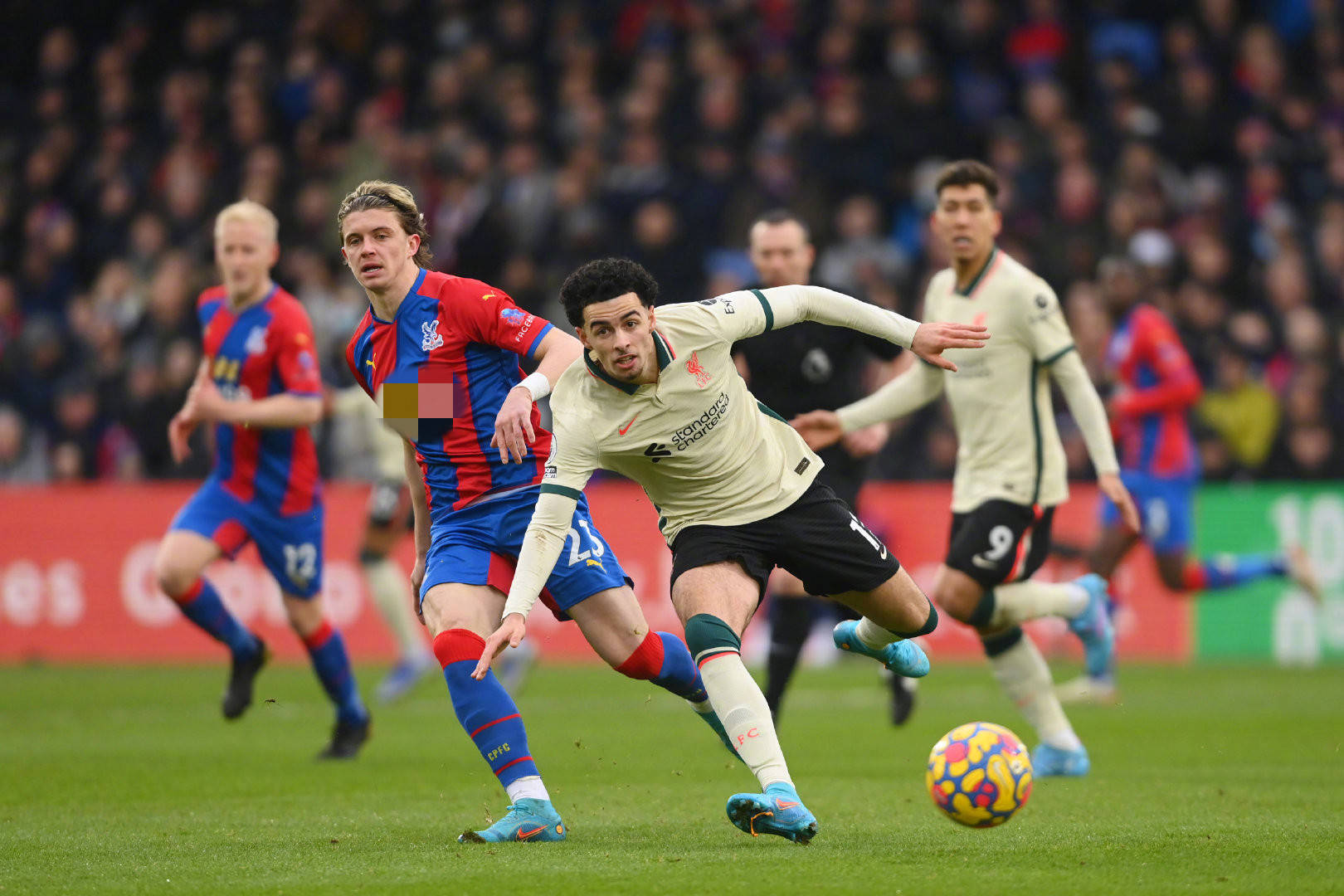 也引发了公 也引发了公